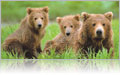 princess_alaska_cruises.jpg