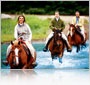 Shore Excursion - Horseback Riding