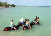 princess_cruises.jpg