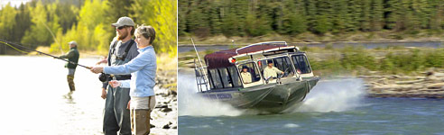 Alaska Land Excursions - Princess Cruises