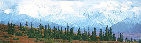 princess_alaska_cruises.jpg