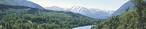 View of Kenai Fjords National Park in Alaska