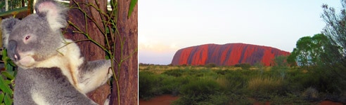 Wildlife & Majestic Landscapes of Australia