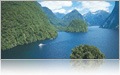 The Fiords in New Zealand