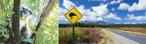 The Beautiful Landscape of Australia