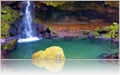 Tropical Waterfall in Dominica