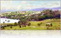 Mountain View in Martinique
