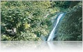Tropical Waterfall in Grenada