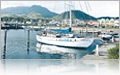View of the Harbor in  St. Kitts