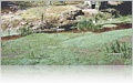 Folk Park