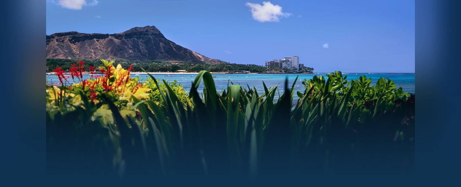 Hawaii Cruise – Hawaiian Cruises - Princess Cruises