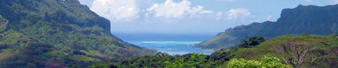 Lush and Rugged Landscape of the South Pacific