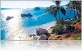 The Beaches of the Mexican Riviera
