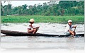 Exploring the Amazon River