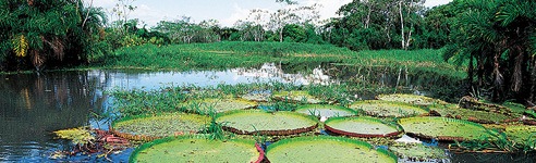 Picturesque Scenes of South America