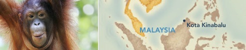Kota Kinabalu, Malaysia : Ports of Asia