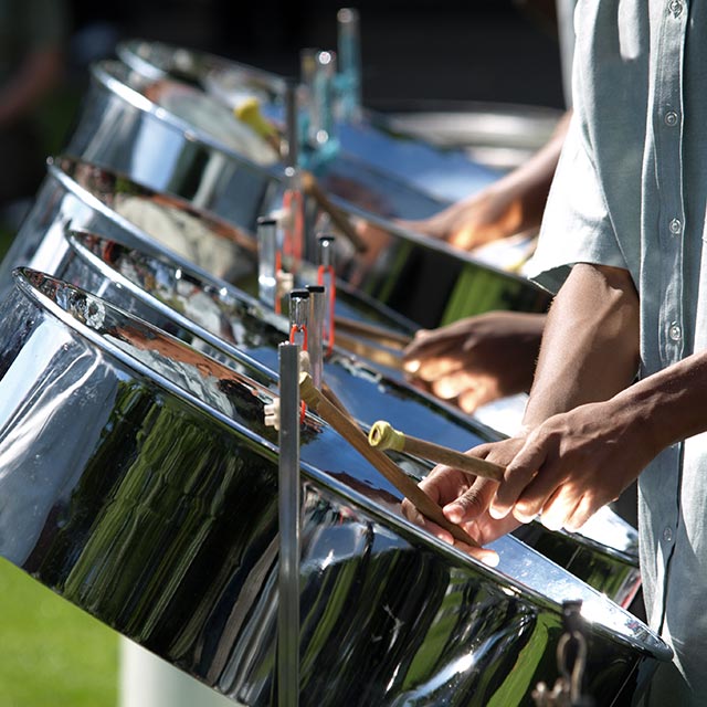 Reason 5 Steel Drum Lessons Princess Cruises