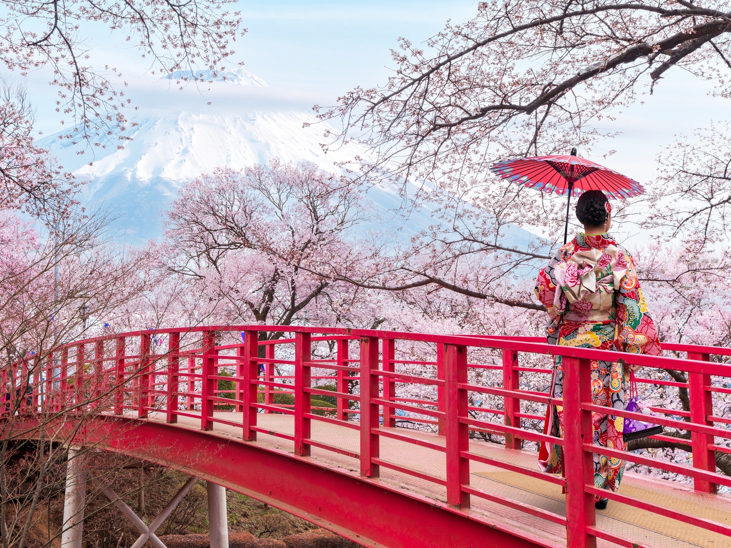 Star Princess Cruise Ship Ship Information Princess Cruises