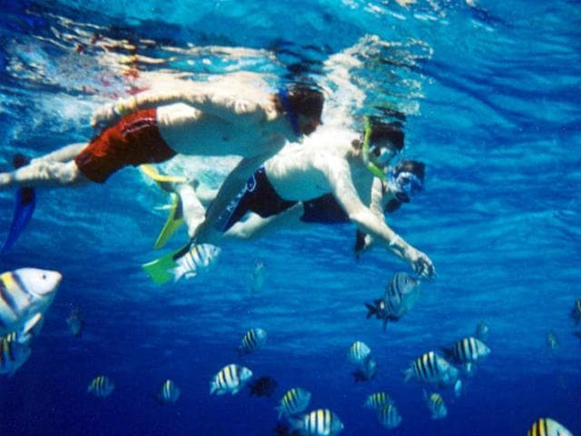 Snorkelers watching colorful fish in Cozumel, Mexico.