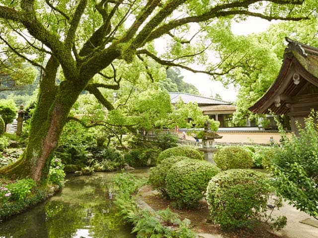 Explore Tokyo S Gardens On A Cruise To Japan Princess Cruises