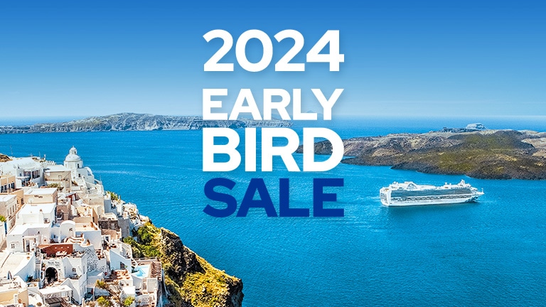 princess cruise check in