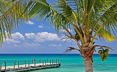 東加勒比海與巴哈馬群島渡假之旅 8天