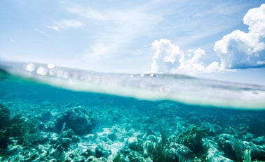 西方加勒比海與大開曼島渡假之旅 8天