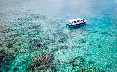 特克斯與凱科斯群島度假趣 5天