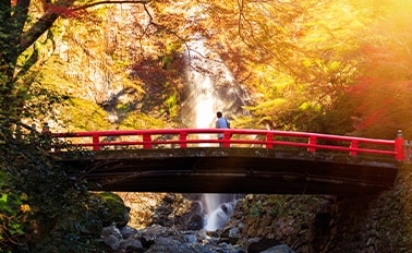 東南亞洲,日本&阿拉斯加全覽冒險之旅 30天