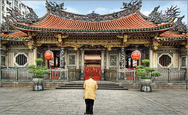 北海道櫻花 10天