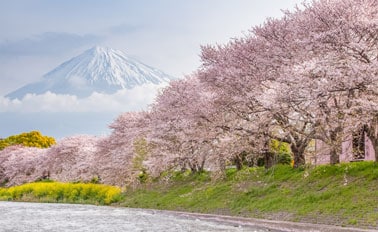 日本海 10天