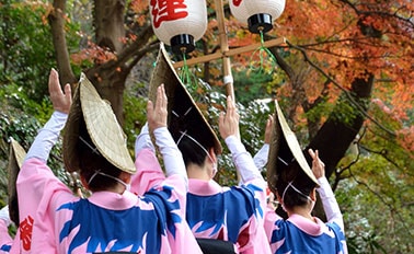 環遊日本與睡魔祭&夏季節慶 11天