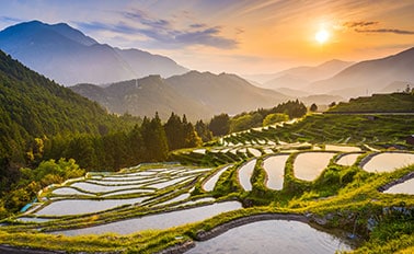 日本探險家之旅與熊野煙花 11天