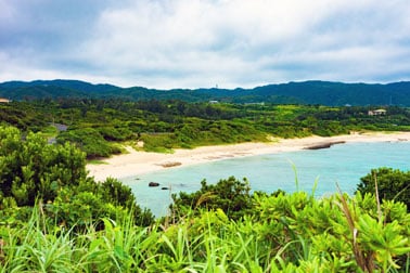 日本海探險家之旅春季花朵 23天