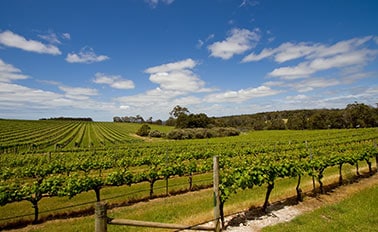 南方澳洲探險家之旅 12天