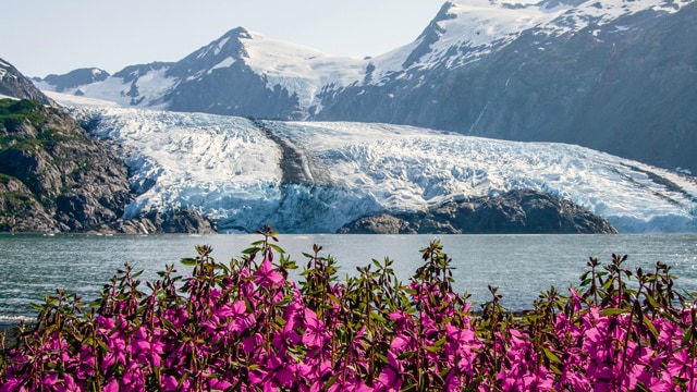 Alaska Cruise Weather by Month - Best Weather for an Alaska Cruise -  Princess Cruises