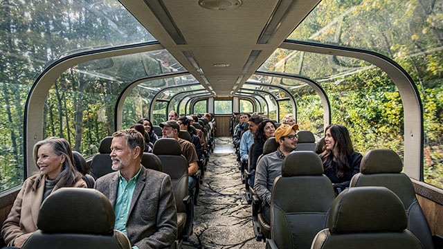 Train travelers on board Alaska train