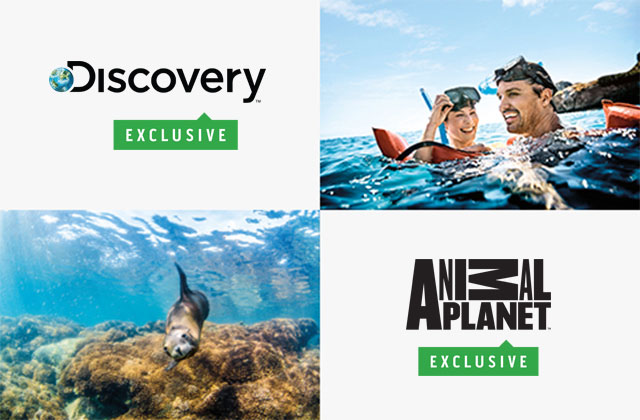 discovery exclusive and animal planet exclusive shore excursions