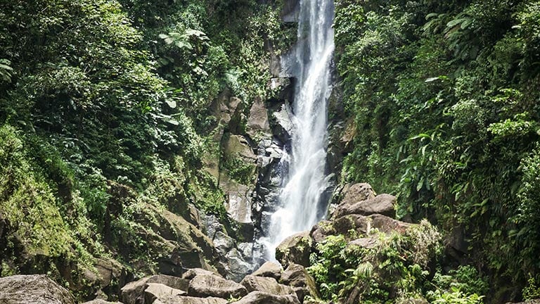 waterfall in a tropical forest