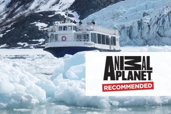 640 portage glacier cruise tour