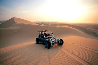 princess auto dune buggy