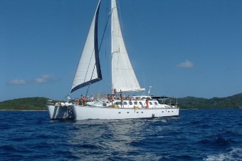 jolly roger roatan catamaran