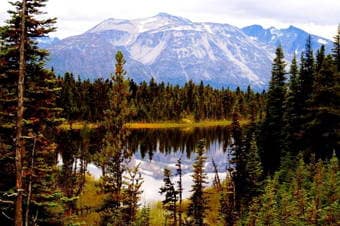 white pass train tour