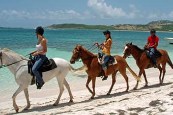horseback riding st maarten excursions
