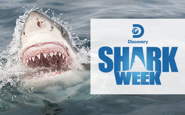 Discovery At Sea Cruise – Shark Week, MythBusters, & More - Princess Cruises