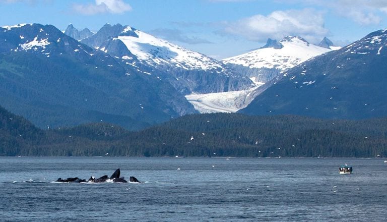 alaska cruise from vancouver roundtrip