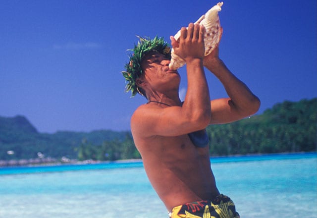 A man blowing into a large conch shell 