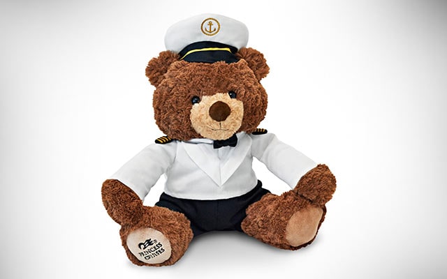 princess cruises stanley bear outfits