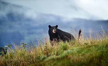 自由行-行程AAX 8天