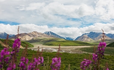 阿拉斯加州丹奈利探險家之旅-行程GA4 8天